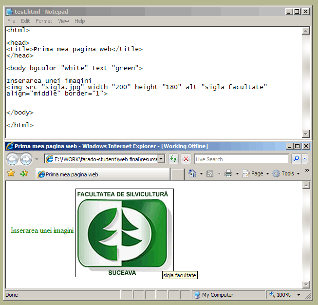 inserarea unei imagini